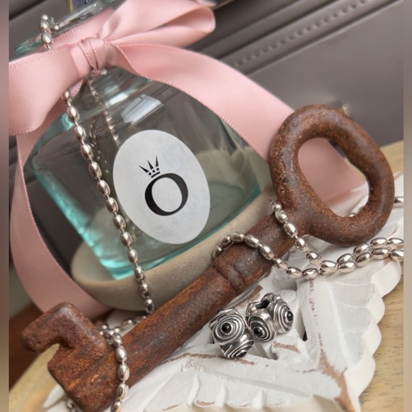 Pair of Retired Pandora Onyx Hypnotize Clip - Picture 4 of 8